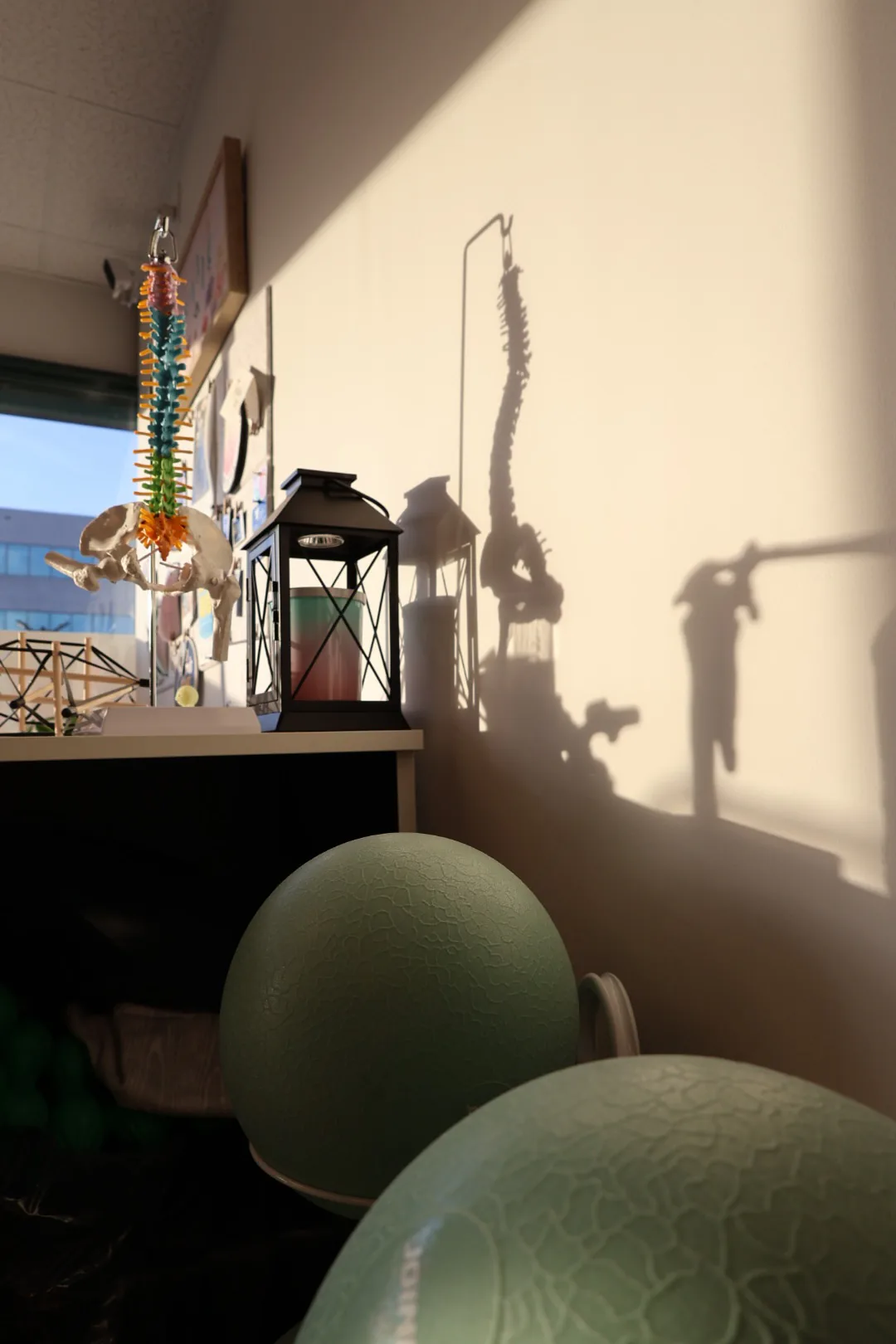 Anatomical spine model and small Pilates balls used for movement instruction.